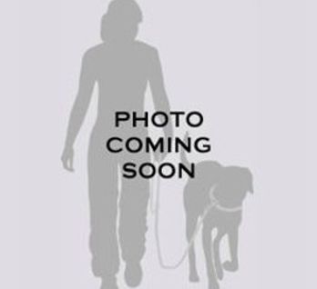 New 4 Image 4
